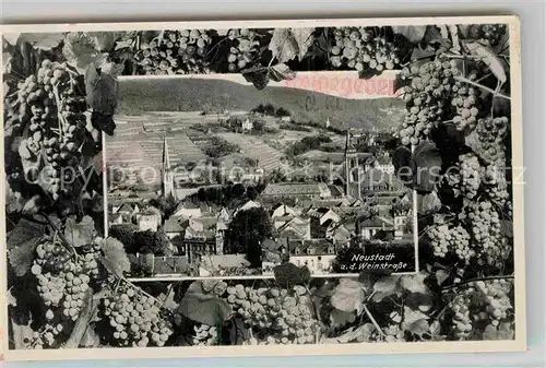 AK / Ansichtskarte Neustadt Weinstrasse Panorama  Kat. Neustadt an der Weinstr.