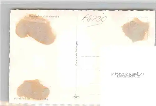 AK / Ansichtskarte Neustadt Weinstrasse Panorama  Kat. Neustadt an der Weinstr.