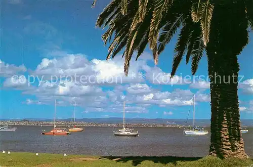 AK / Ansichtskarte New Zealand Pilot Bay Mount Maunganui