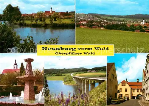 AK / Ansichtskarte Neunburg Wald Rathaus Panorama See Bruecke Brunnen Kat. Neunburg vorm Wald