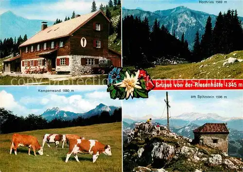 AK / Ansichtskarte Riesenhuette Berghaus am Hochries Wandergebiet Gipfelkreuz Almvieh Kuehe Alpenpanorama Kat. Frasdorf