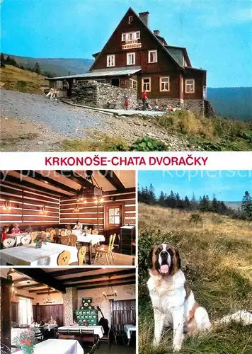 AK / Ansichtskarte Jizerou Chata Dvoracky Krkonose Berghaus Riesengebirge Hund Kat. Tschechische Republik
