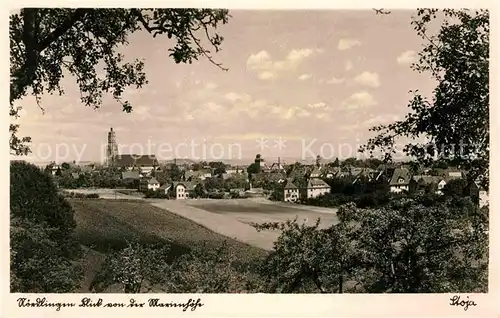 AK / Ansichtskarte Noerdlingen Blick von der Marienhoeh Kat. Noerdlingen