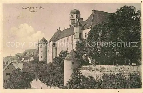 AK / Ansichtskarte Dillingen Donau Schloss Kat. Dillingen a.d.Donau