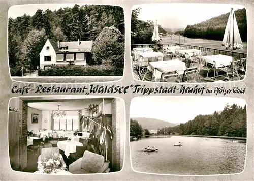 AK / Ansichtskarte Trippstadt Neuhof Cafe Restaurant Waldsee