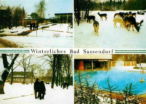 AK / Ansichtskarte Bad Sassendorf Kurmittelhaus Wintzingerode Park Kurpark Sole Thermal Bewegungsbad Kat. Bad Sassendorf