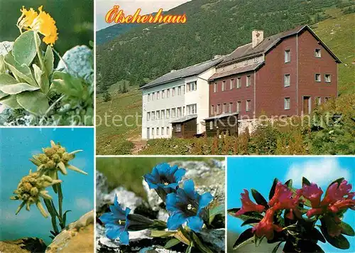 AK / Ansichtskarte Lackenhof Gaming oetscherhaus Alpenflora Kat. Gaming