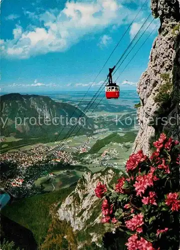 AK / Ansichtskarte Seilbahn Predigtstuhl Bad Reichenhall  Kat. Bahnen