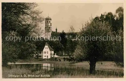 AK / Ansichtskarte Dillingen Donau Schloss Kat. Dillingen a.d.Donau