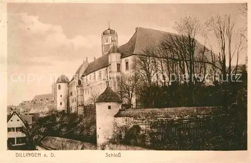 AK / Ansichtskarte Dillingen Donau Schloss Kat. Dillingen a.d.Donau