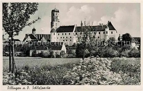 AK / Ansichtskarte Dillingen Donau Schlosspartie Kat. Dillingen a.d.Donau