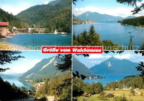AK / Ansichtskarte Walchensee Hotels am Ufer Alpenpanorama Kat. Kochel a.See