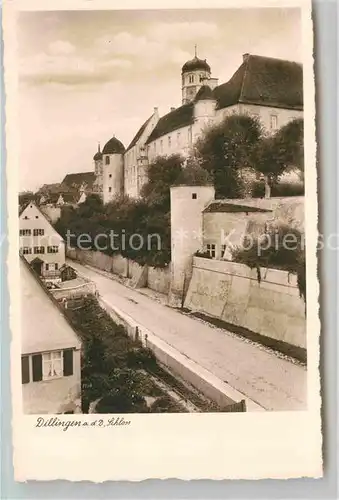 AK / Ansichtskarte Dillingen Donau Schloss Kat. Dillingen a.d.Donau