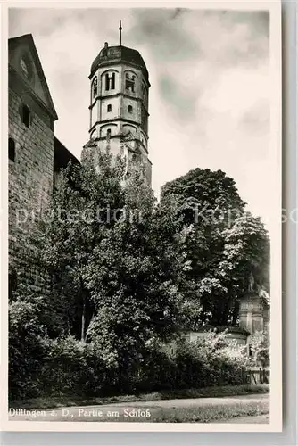 AK / Ansichtskarte Dillingen Donau Schloss Kat. Dillingen a.d.Donau