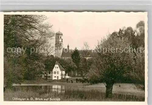 AK / Ansichtskarte Dillingen Donau Schloss Kat. Dillingen a.d.Donau