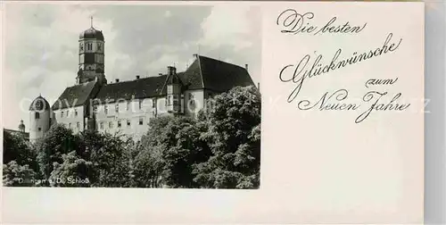 AK / Ansichtskarte Dillingen Donau Schloss Kat. Dillingen a.d.Donau