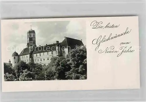 AK / Ansichtskarte Dillingen Donau Schloss Kat. Dillingen a.d.Donau