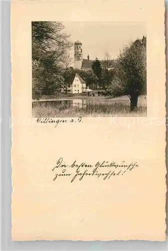 AK / Ansichtskarte Dillingen Donau Schloss Kat. Dillingen a.d.Donau