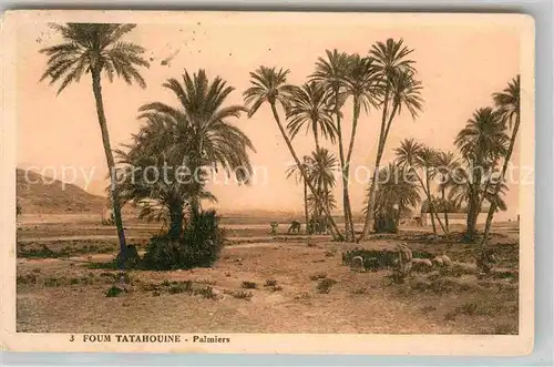 AK / Ansichtskarte Gabes Oase Kat. Tunesien