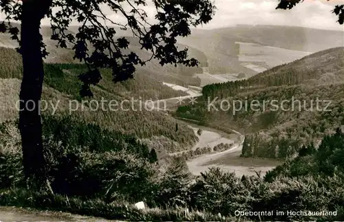 AK / Ansichtskarte Hochsauerland Odeborntal