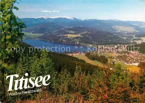 AK / Ansichtskarte Titisee Seepartie Kat. Titisee Neustadt