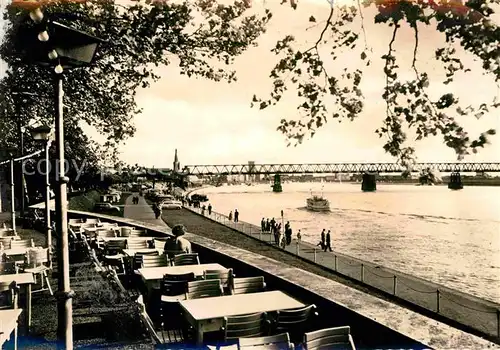 AK / Ansichtskarte Duesseldorf Blick von den Rhein Terrassen Kat. Duesseldorf