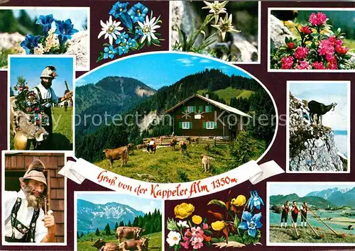 AK / Ansichtskarte Pfronten Kappeler Alm Alpenflora Senner Steinbock Alphornblaeser Kat. Pfronten