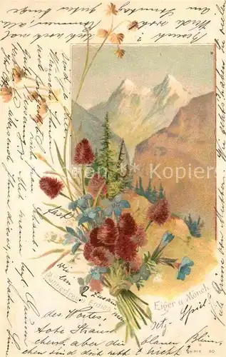 AK / Ansichtskarte Blumen Maennertreu Enzian Eiger Moench Litho  Kat. Pflanzen