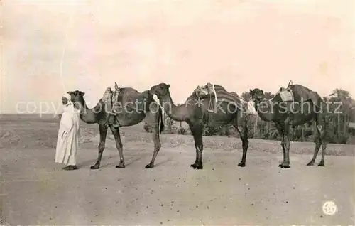 AK / Ansichtskarte Kamele Depart d une Caravane Afrique du Nord  Kat. Tiere