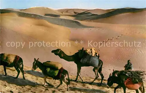 AK / Ansichtskarte Scenes et Types Nr. 194 Dans les Dunes Maroc Kamel Esel  Kat. Typen