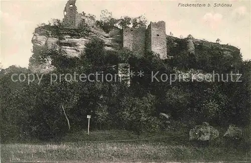 AK / Ansichtskarte Schoenau Pfalz Der Fleckenstein Kat. Schoenau (Pfalz)