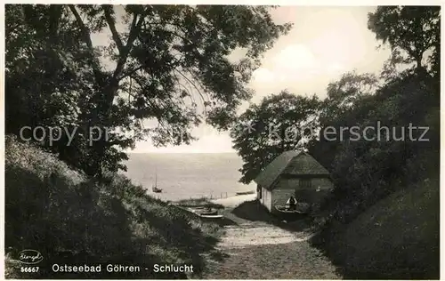 AK / Ansichtskarte Goehren Ruegen Schlucht Kat. Goehren Ostseebad Ruegen