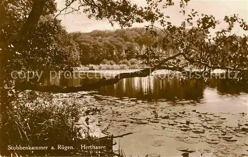 AK / Ansichtskarte Stubbenkammer Ruegen Herthasee Kat. Sassnitz