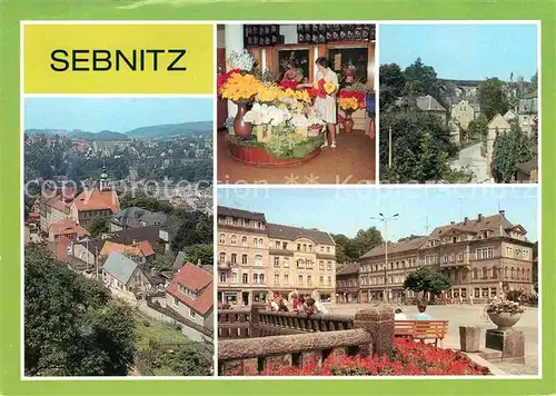 AK / Ansichtskarte Sebnitz Blick auf die Stadt Kunstblume Sebnitz Teilansicht mit Viadukt Markt Kat. Sebnitz