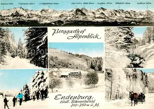 AK / Ansichtskarte Endenburg Berggasthof Alpenblick Alpenpanorama Pferdeschlitten Kat. Steinen