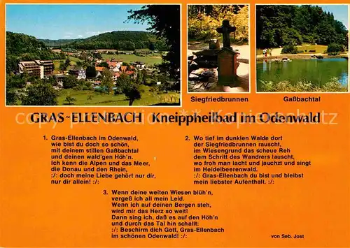 AK / Ansichtskarte Gras Ellenbach Kneippheilbad im Odenwald Kat. Grasellenbach