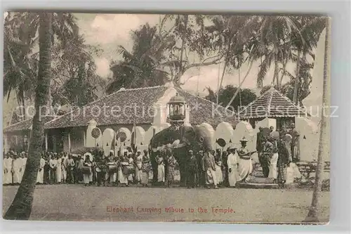 AK / Ansichtskarte Ceylon Sri Lanka Elephant Carrying tribute to the Temple