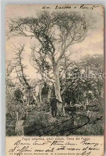 AK / Ansichtskarte Argentinien Fagus antarctica arbol aislado Tierra del Fuego Kat. Argentinien