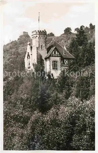 AK / Ansichtskarte Tuebingen Alamannenhaus  Kat. Tuebingen