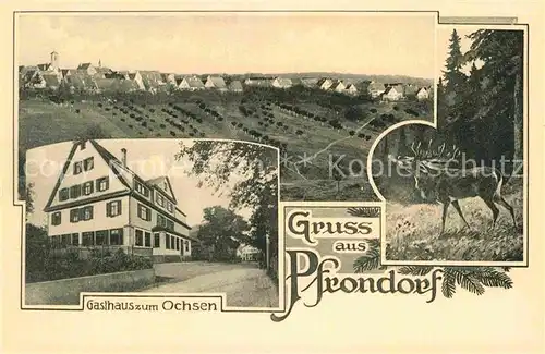 AK / Ansichtskarte Pfrondorf Tuebingen Gasthaus zum Ochsen Hirsch  Kat. Tuebingen