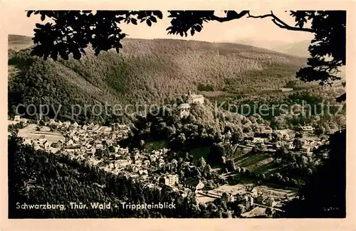 AK / Ansichtskarte Schwarzburg Thueringer Wald Panorama Trippsteinblick Kat. Schwarzburg