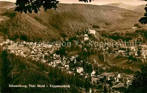 AK / Ansichtskarte Schwarzburg Thueringer Wald Panorama Trippsteinblick Kat. Schwarzburg