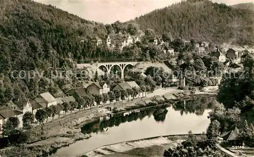 AK / Ansichtskarte Ziegenrueck Panorama Saale Viadukt