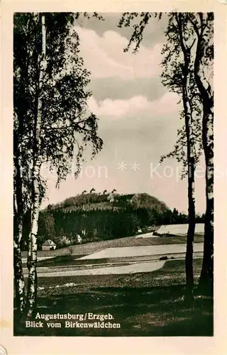 AK / Ansichtskarte Augustusburg Panorama Blick vom Birkenwaeldchen Schloss Augustusburg Kat. Augustusburg