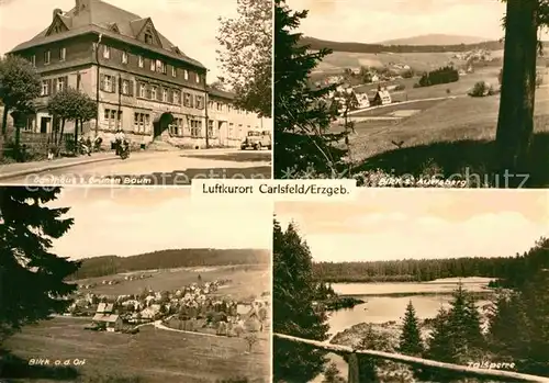 AK / Ansichtskarte Carlsfeld Erzgebirge Gasthaus zum Gruenen Baum Auersberg Talsperre  Kat. Eibenstock