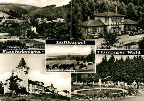 AK / Ansichtskarte Finsterbergen Teilansicht Luftkurort Steigermuehle Konzertplatz Kurhaus Kuhherde am Rennsteig Kat. Finsterbergen Thueringer Wald