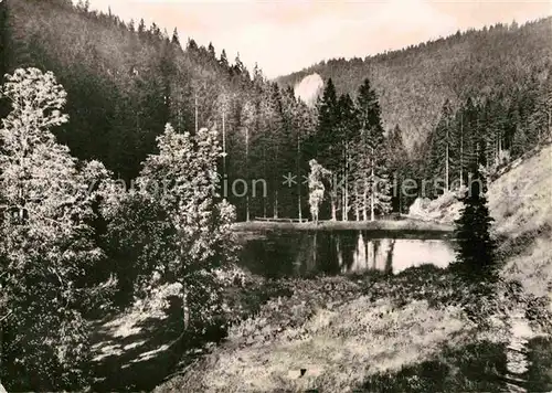 AK / Ansichtskarte Oberhof Thueringen Silberteich im Wald Kat. Oberhof Thueringen