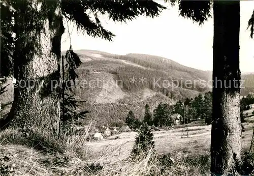 AK / Ansichtskarte Manebach Berg Kichelhahn mit grossem Hermannstein Kat. Ilmenau