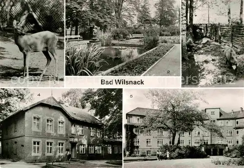 AK / Ansichtskarte Bad Wilsnack Tierpark Parkanlagen Haus Birkengrund Goethehaus Kat. Bad Wilsnack