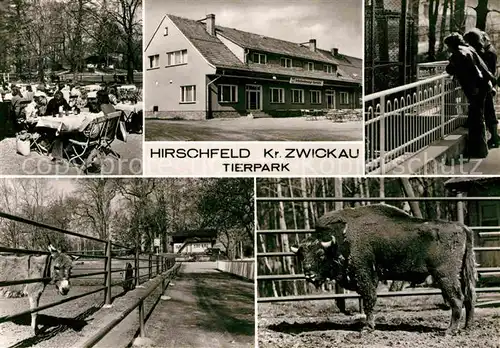 AK / Ansichtskarte Hirschfeld Zwickau Gaststaette Terrasse Tierpark Esel Bison Kat. Hirschfeld Zwickau